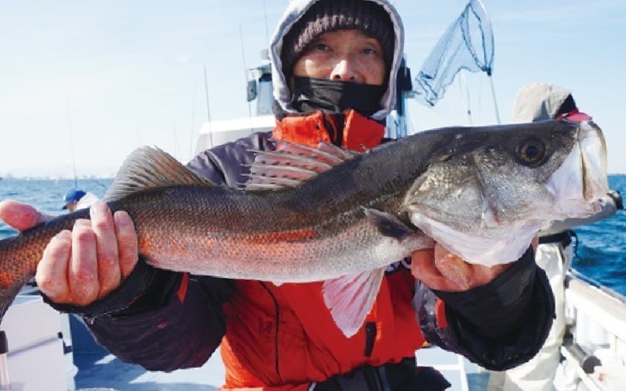 ［なおちゃんねる（第45回）］手軽で簡単！だれでも楽しい東京湾のシーバスジギング