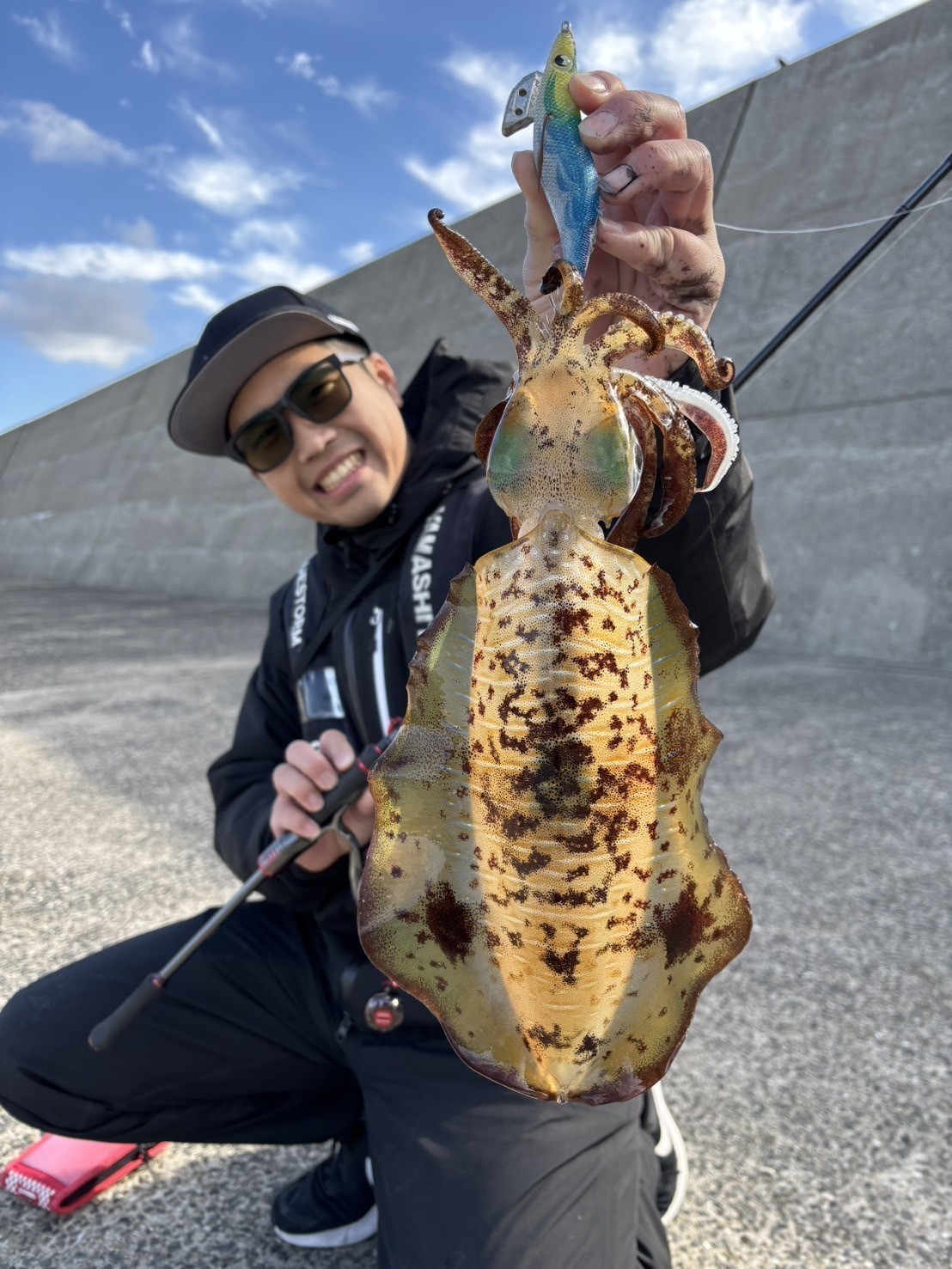 エギ王Kピーカンブルーでキャッチした冬のアオリイカ