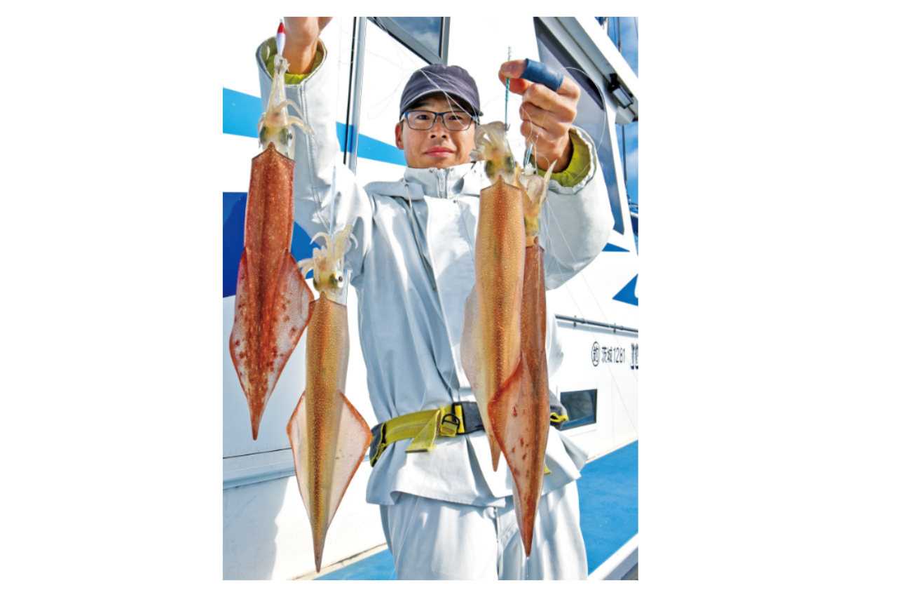鹿島沖のヤリイカ開幕良型主体で好スタート