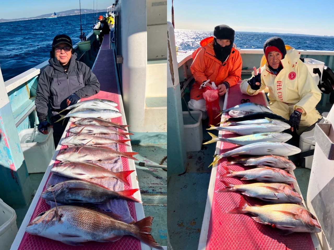 【釣果速報】風をものともせずイナダ・マダイのヒットが連発！神奈川県正海丸の釣行でクーラーボックスを人気魚種でいっぱいにしよう！