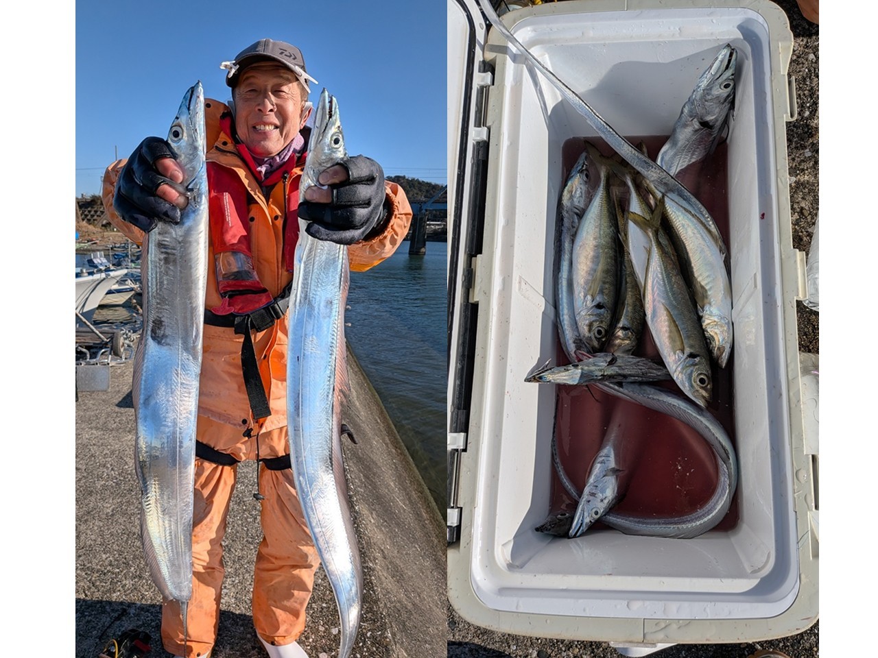 【釣果速報】千葉県フィッシュオン大勝で33cmアジ＆113cmの良型タチウオGET！一度体感するとクセになる引きの強さをぜひ味わって！