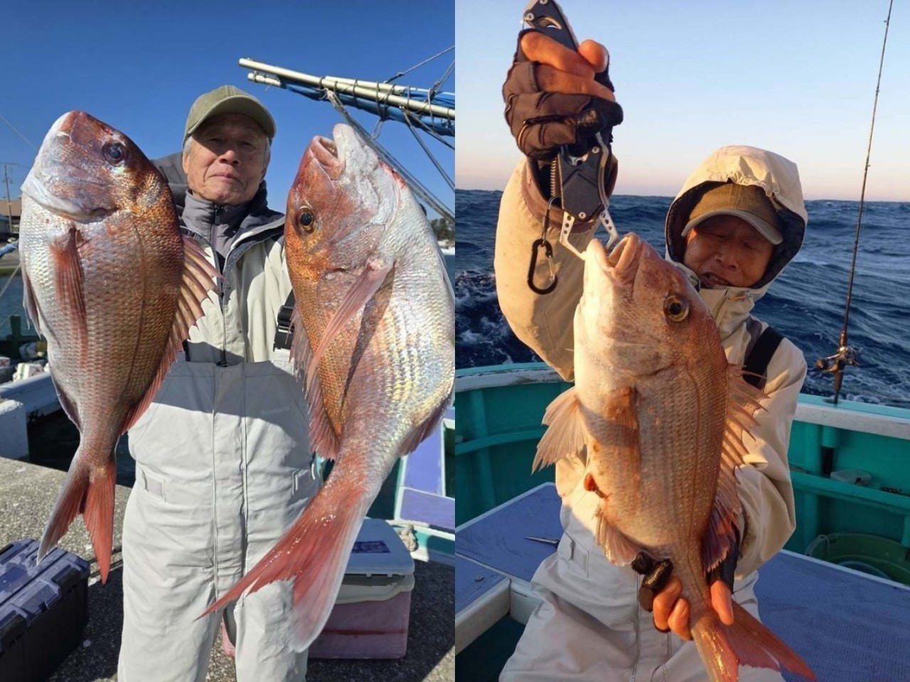 【釣果速報】マダイ・ハタ上がる！食べ頃サイズで好調！人気魚種を狙うなら千葉県富士丸に乗船だ！        