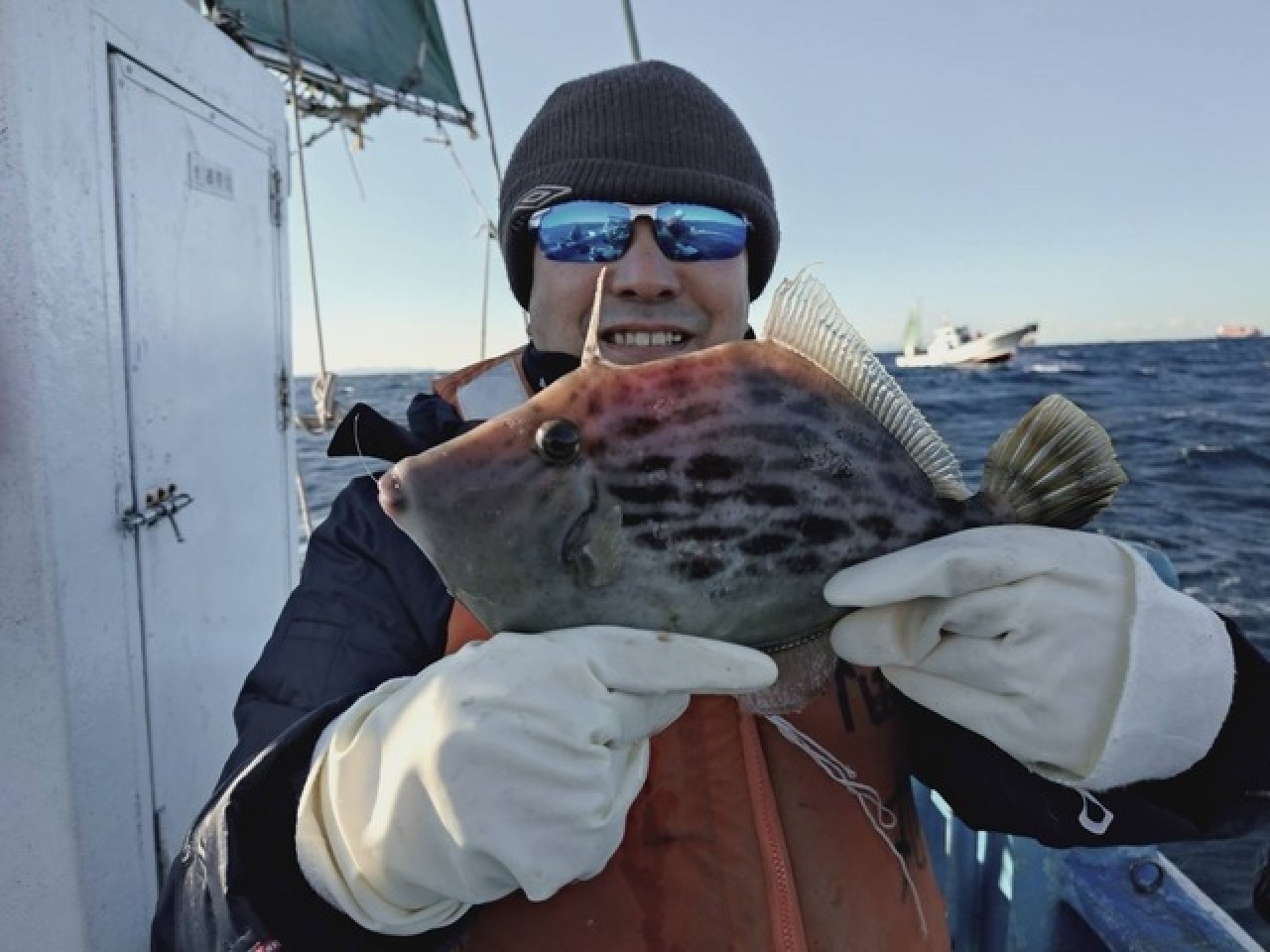 【釣果速報】千葉県福丸がチャンス捉えた！最大31cmのデカハギキャッチ！冬の絶品カワハギを今すぐ捕まえに行こう！