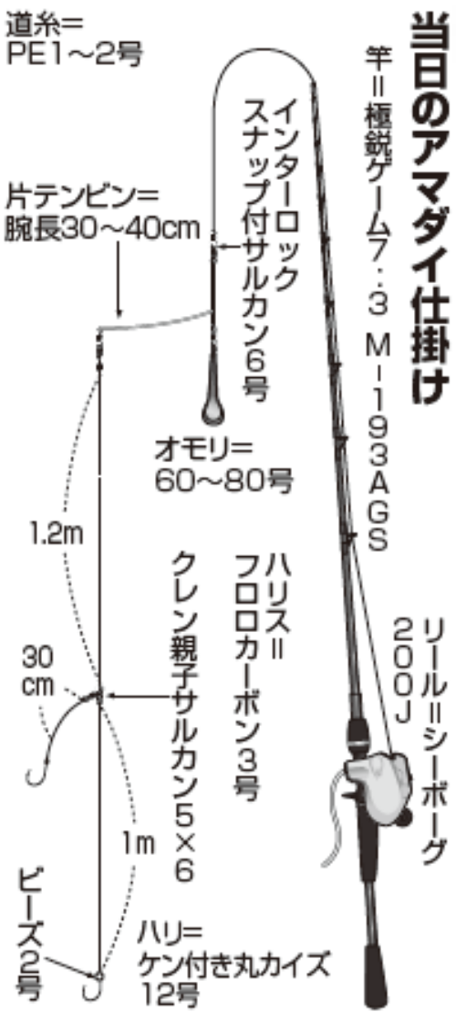 当日のアマダイ仕掛け