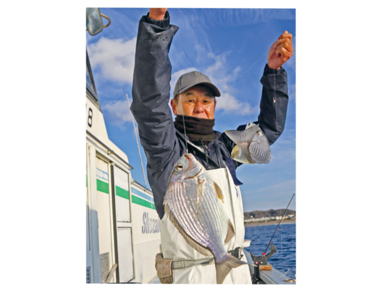 ライト五目は四季の釣り！今は激うまヘダイが面白い
