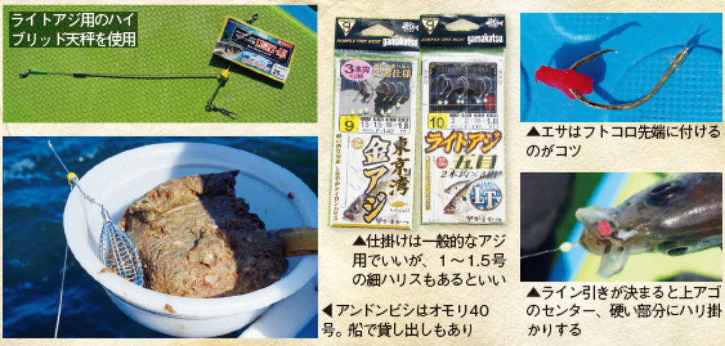 ライトアジ用の