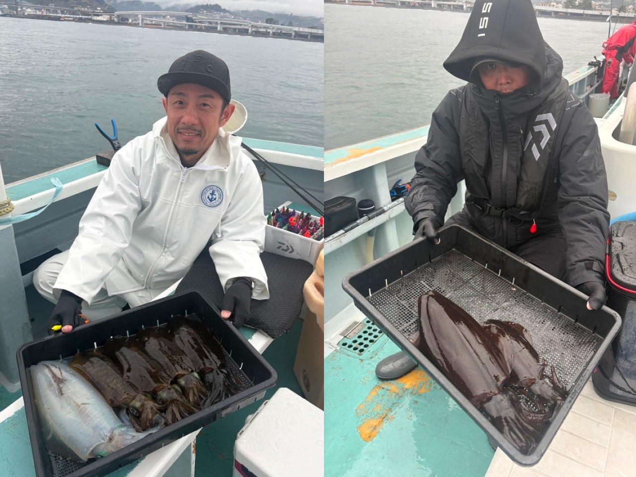 【釣果速報】神奈川県藤八丸アオリイカが順調に上がる！！キロオーバーの良型も交じり好調！今こそ極上イカを手に入れる冒険の旅に出よう！