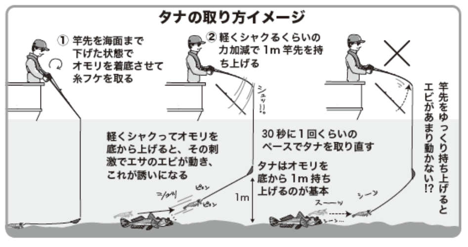 タナの取り方イメージ