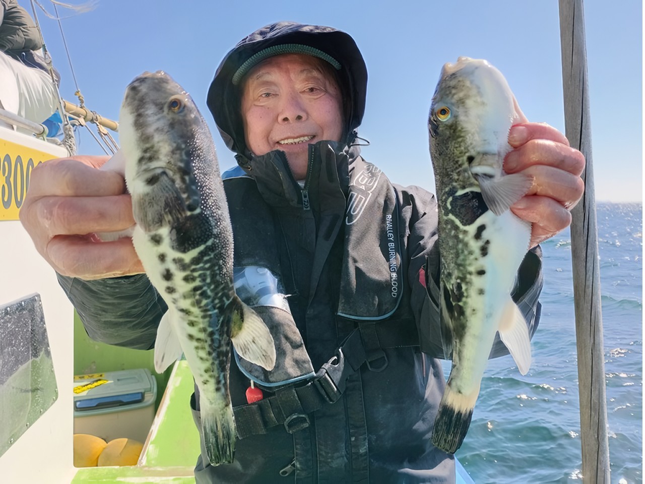 【釣果速報】千葉県利八丸でトラフグが快釣！サイズも最大2.30kgと釣りごたえバッチリ！週末はデカフグを狙いに行きませんか？