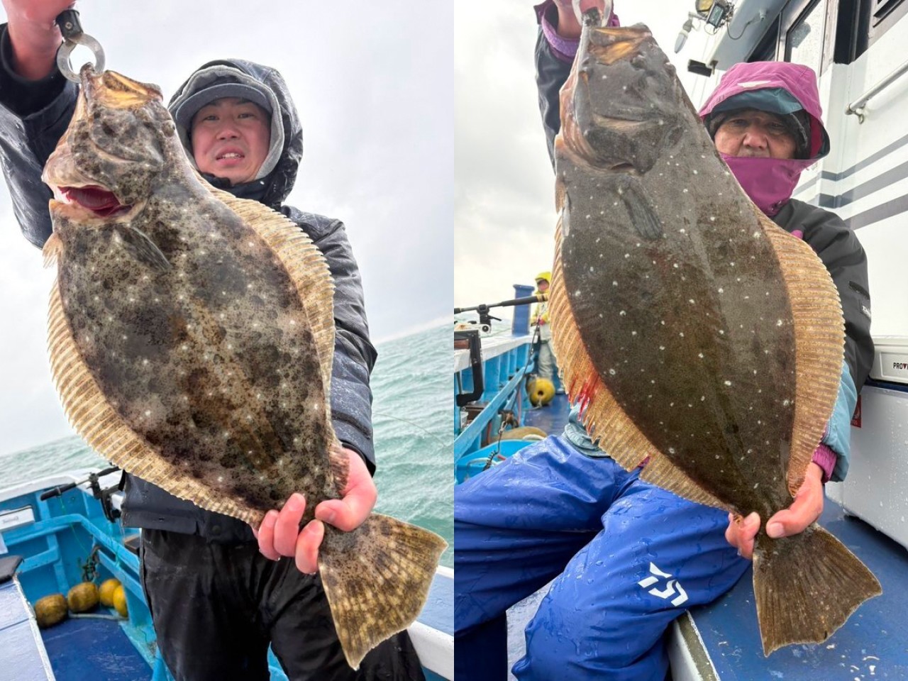 【釣果速報】雨と風のなか、2kgアップのヒラメ獲ったどー！千葉県第三松栄丸でクーラー超えの大物を手に入れよう！