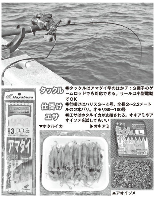 タックル・仕掛け・エサの写真