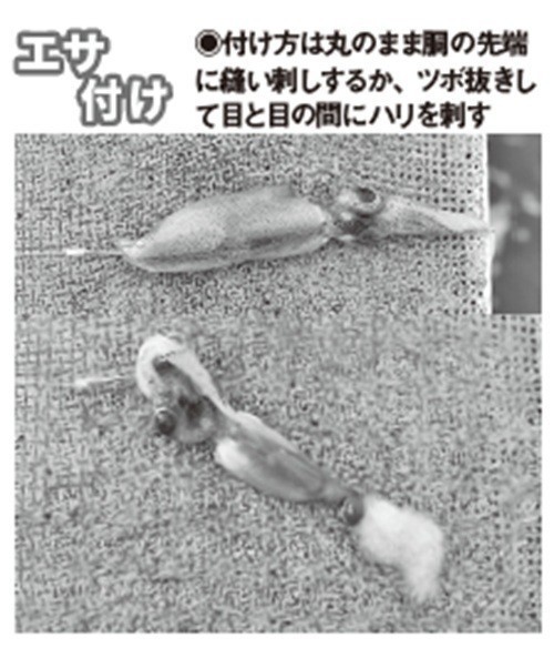 エサ付けの写真