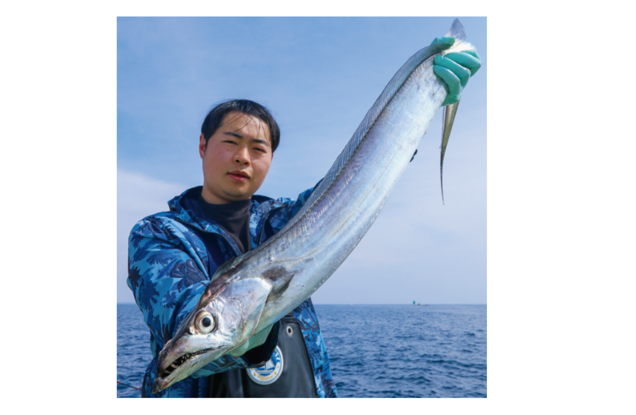 今シーズンも釣れてます！相模湾の深場タチウオ盛況