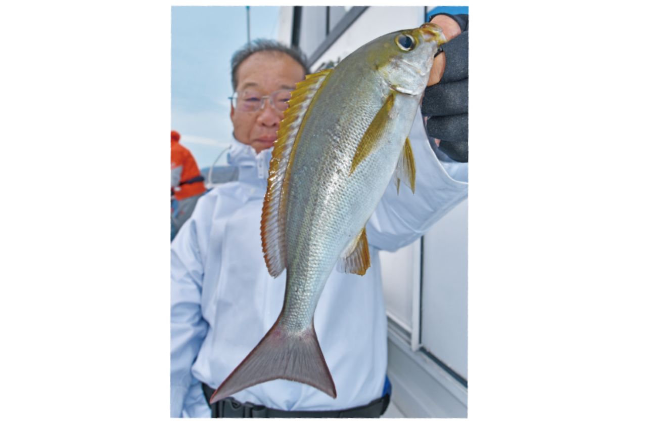 東伊豆に春がやってきた初島廻のイサキ開幕！