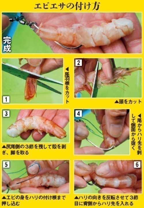 エサの付け方の写真