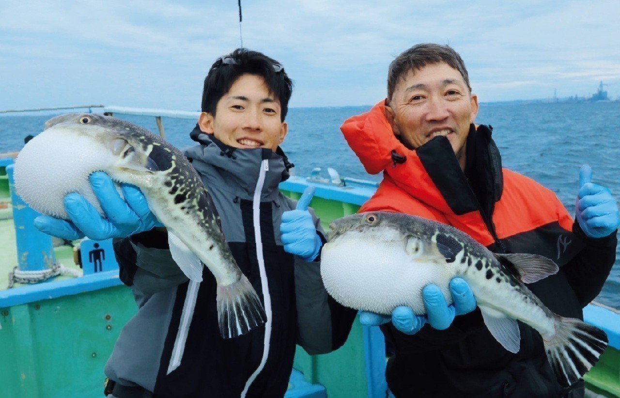 Ｘデーへのカウントダウン　東京湾のトラフグ拡大中！