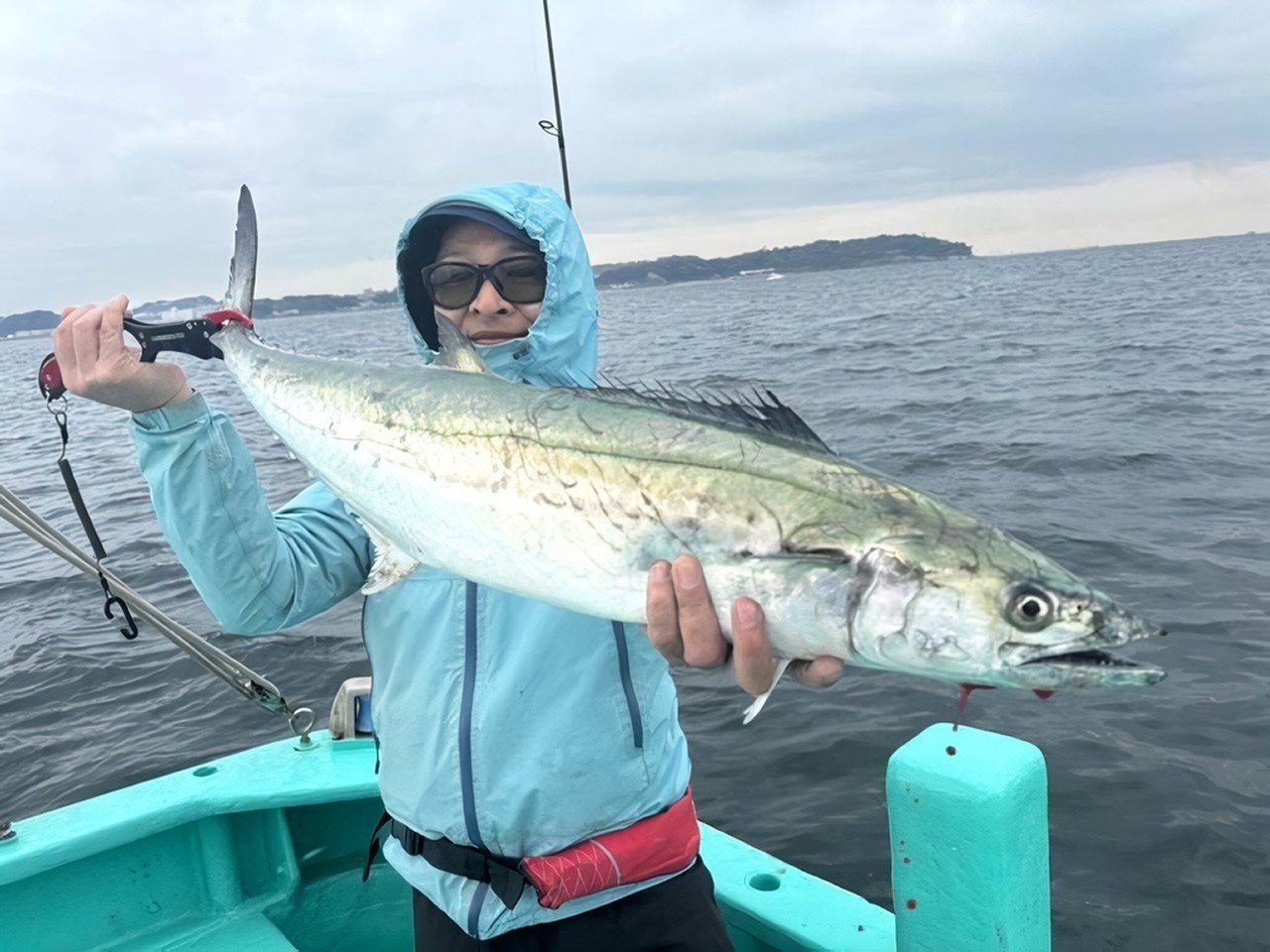 【釣果速報】千葉県守山釣船店でサワラ好調！嬉しい大型ワラサも！人気魚種とたくさん出会える釣行はいつも大好評！