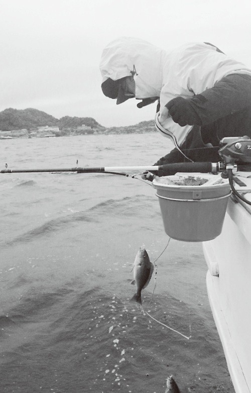釣行の写真