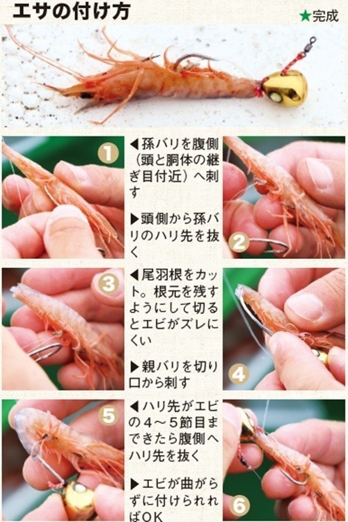 エサの付け方の写真