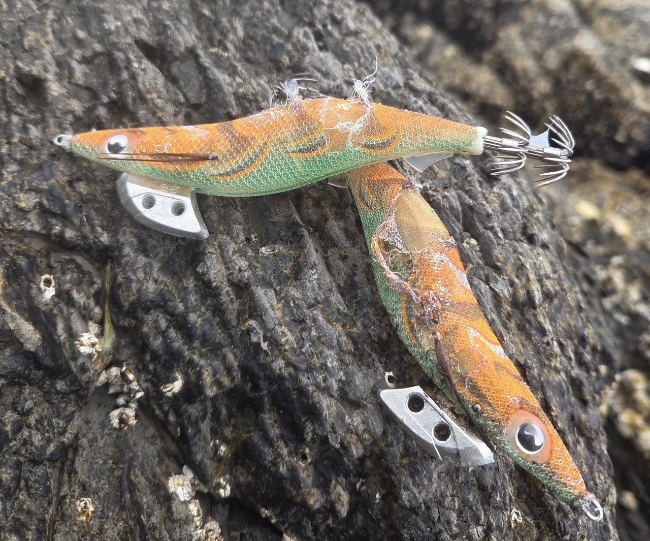 アオリイカとのファイトでボロボロになったエギ王Kマッドハンター