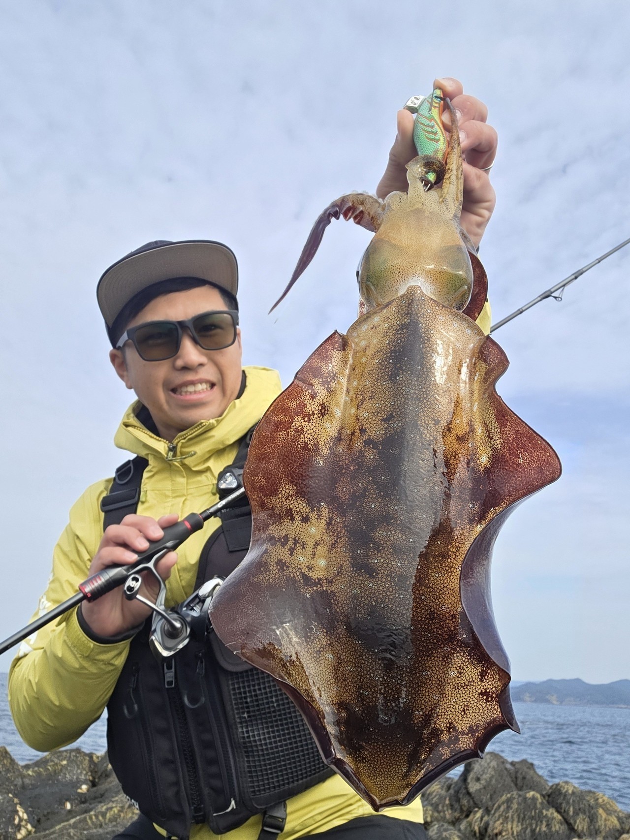 エギ王Kシャローグリーンエナジーでキャッチした良型のアオリイカ