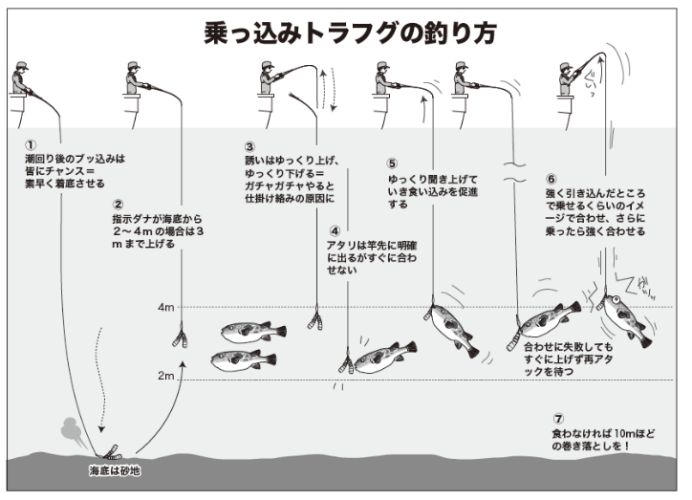 乗っ込みトラフグの釣り方