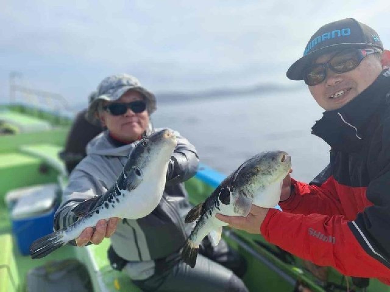 【釣果速報】千葉県利八丸でトラフグGET！最大3.20kg！絶品フグを狙いに行ってみませんか！