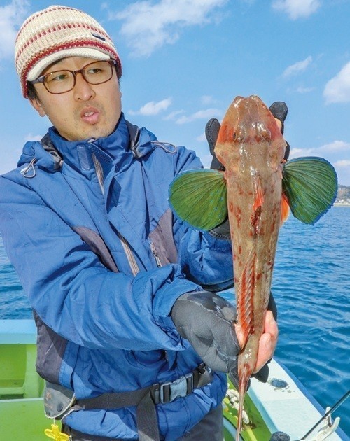 相模湾のライトヒラメ五目 浅場にイワシ回遊し好期へ