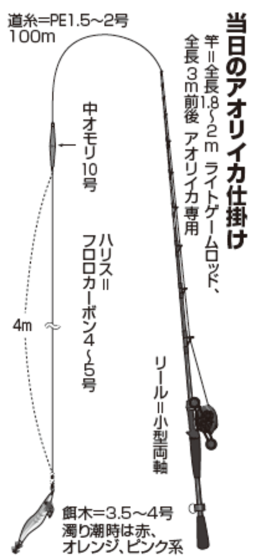 当日のアオリイカ仕掛け