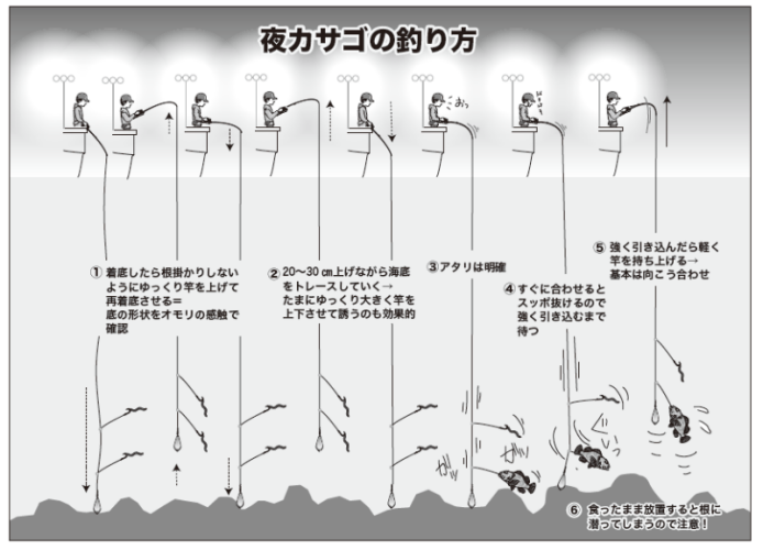 夜カサゴの釣り方