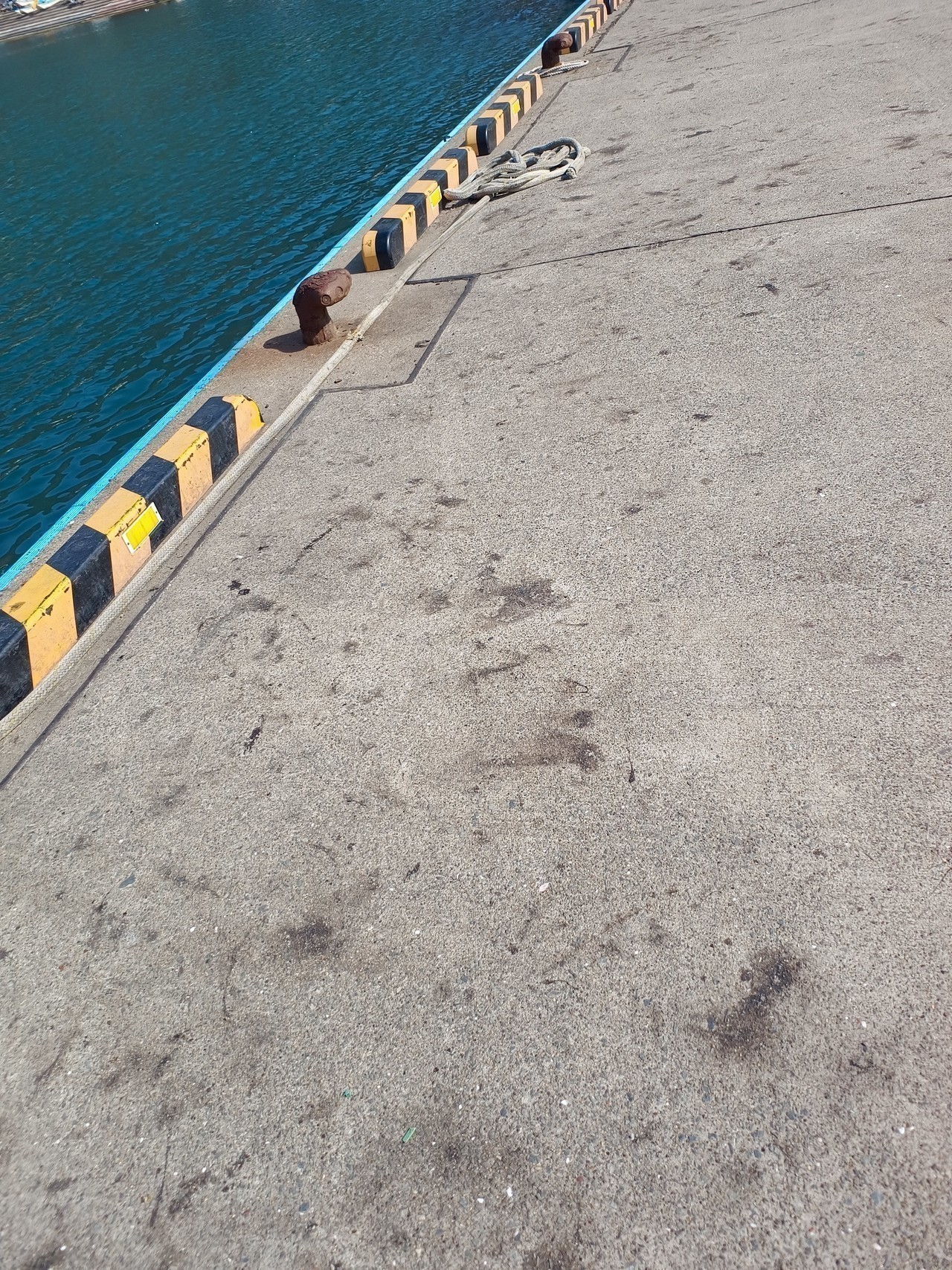 墨跡が残る漁港