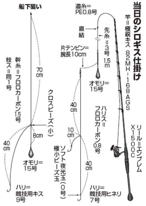 当日のシロギス仕掛け