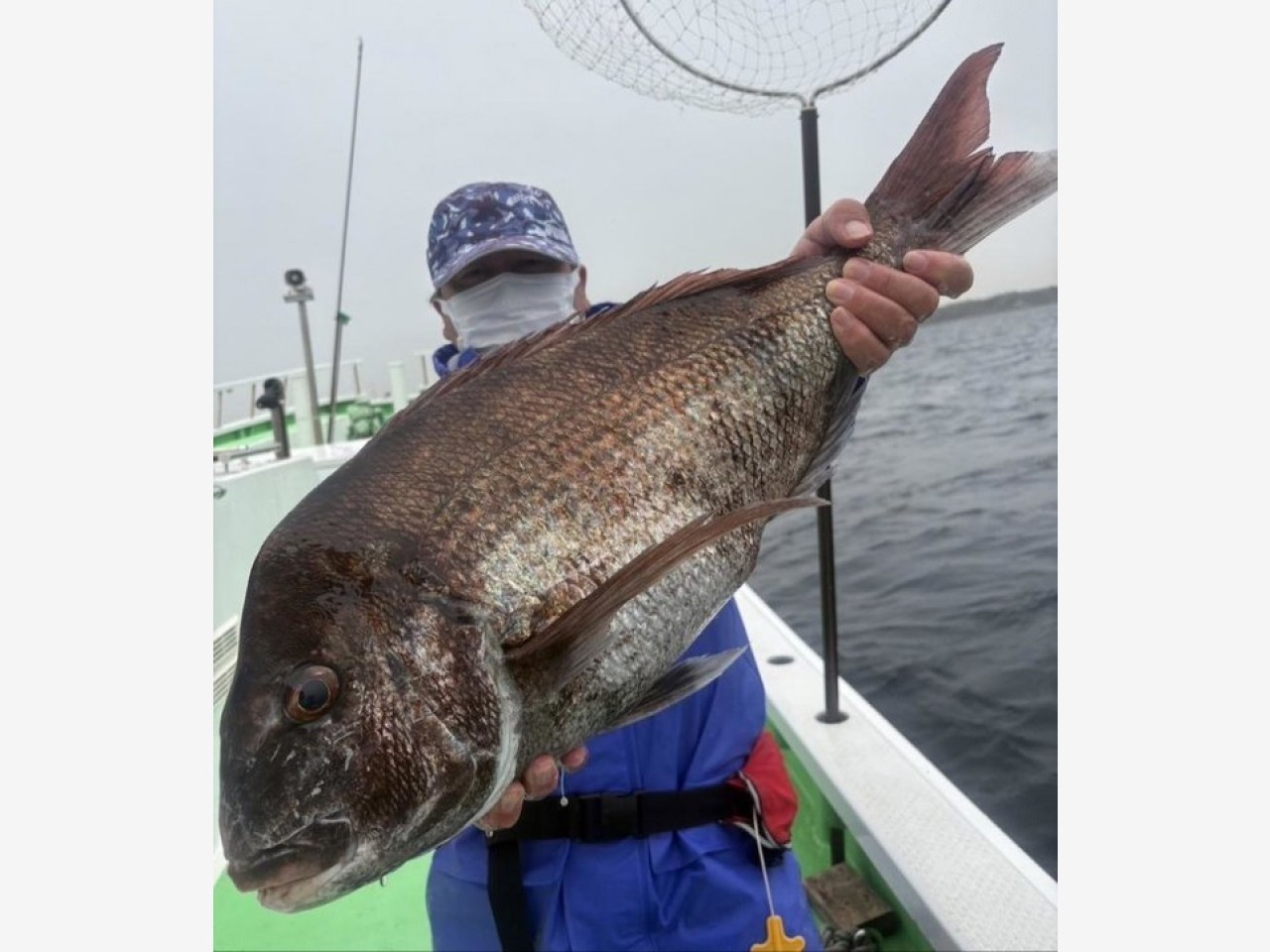 【釣果速報】神奈川県あまさけや丸でマダイ・イサキ・メジナ・ウマヅラハギと人気魚種続々ゲット！いろいろな魚との出会いを楽しみたい人は即予約を！