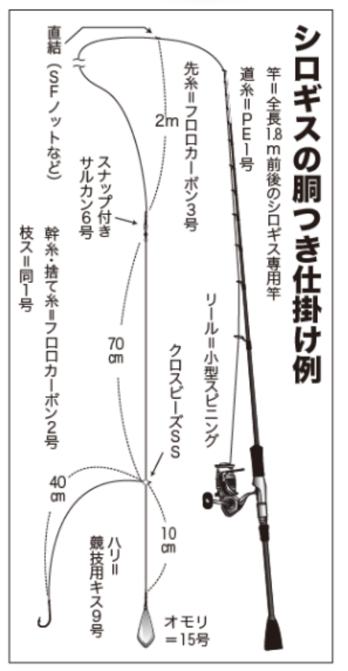 シロギスの胴つき仕掛け例