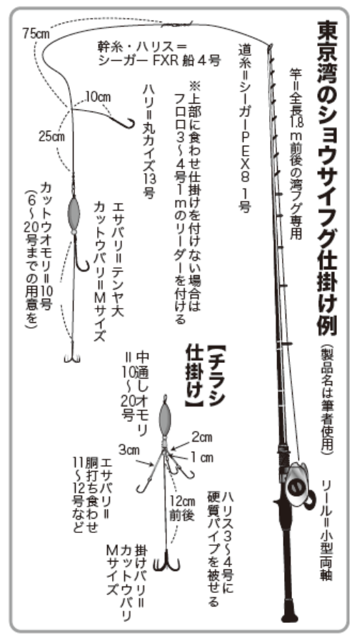 東京湾のショウサイフグ仕掛け例