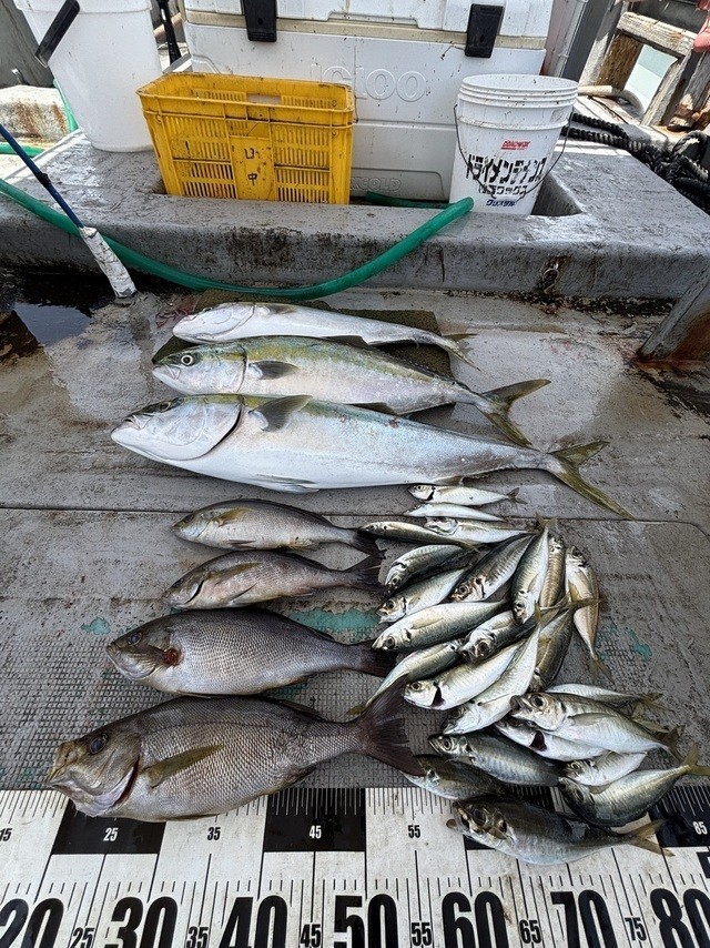 釣果