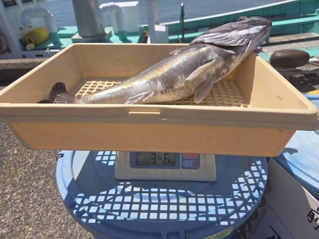 釣果
