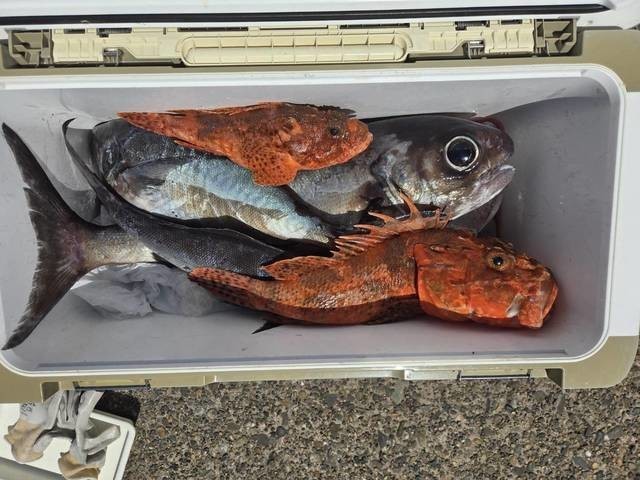 釣果
