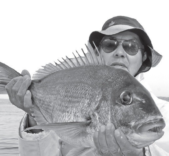 釣行の写真