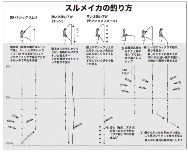 スルメイカの釣り方