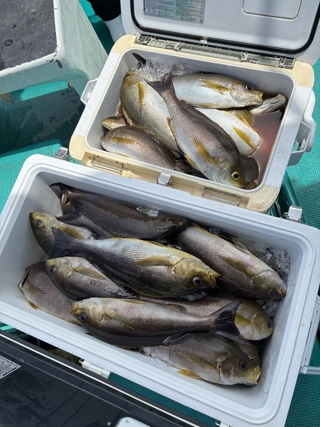 釣果
