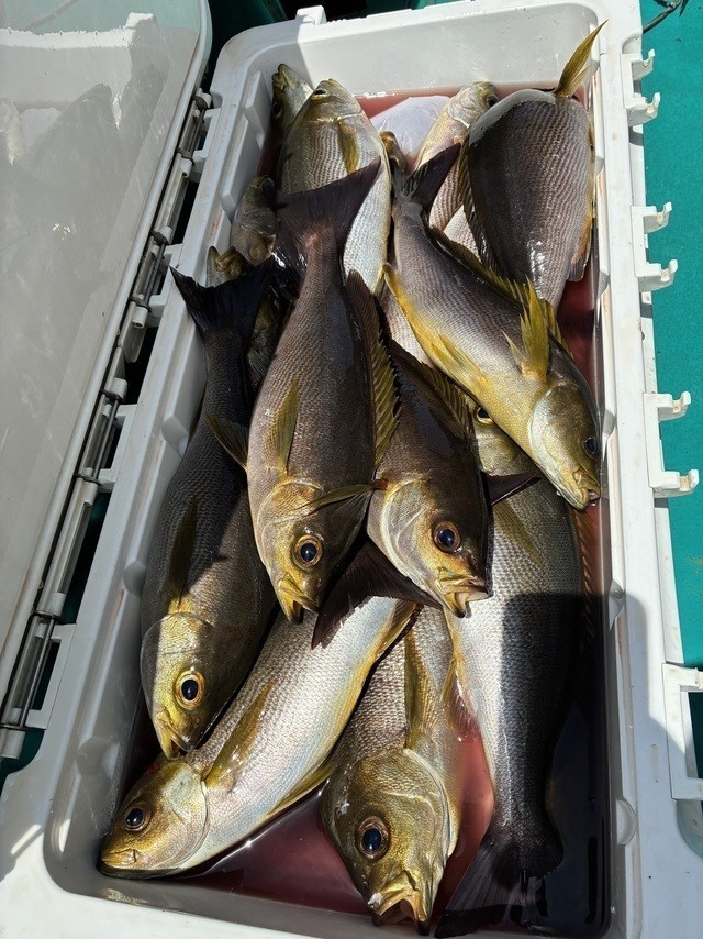釣果