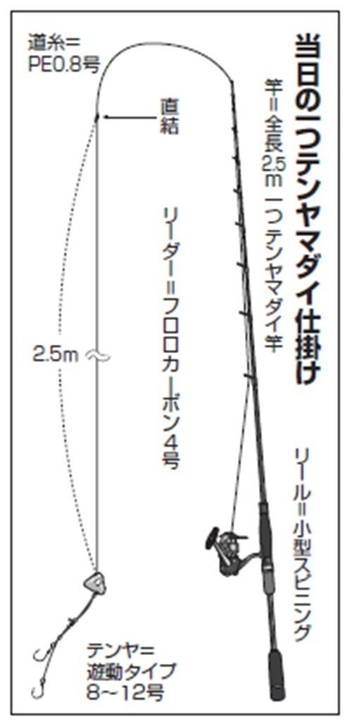 仕掛けの図
