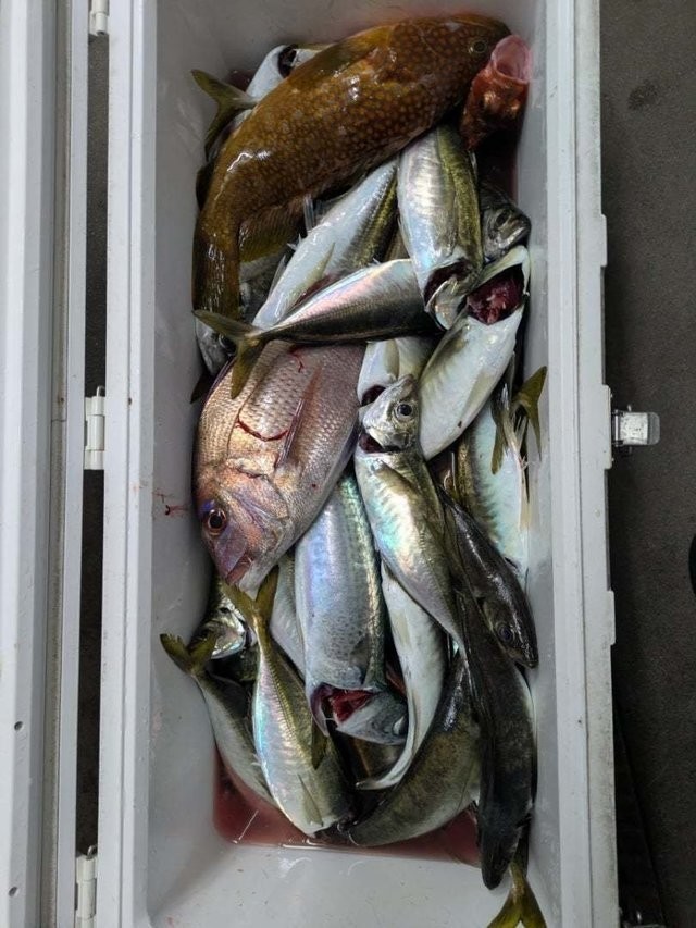 釣果