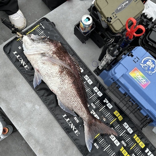 釣果