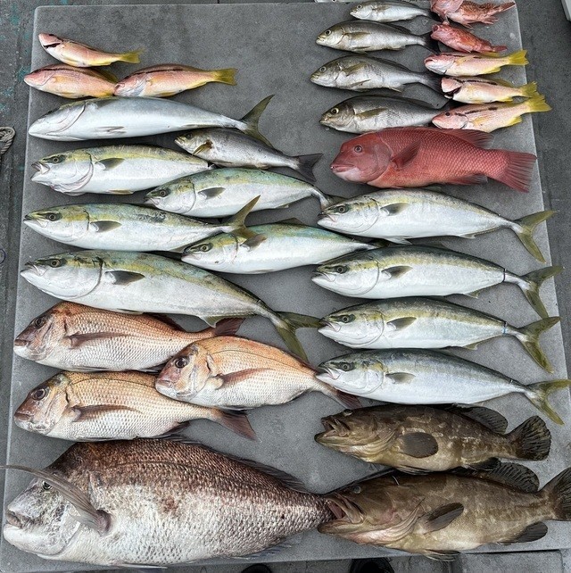 釣果