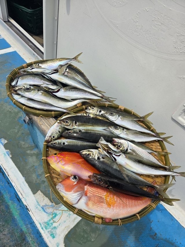 釣果