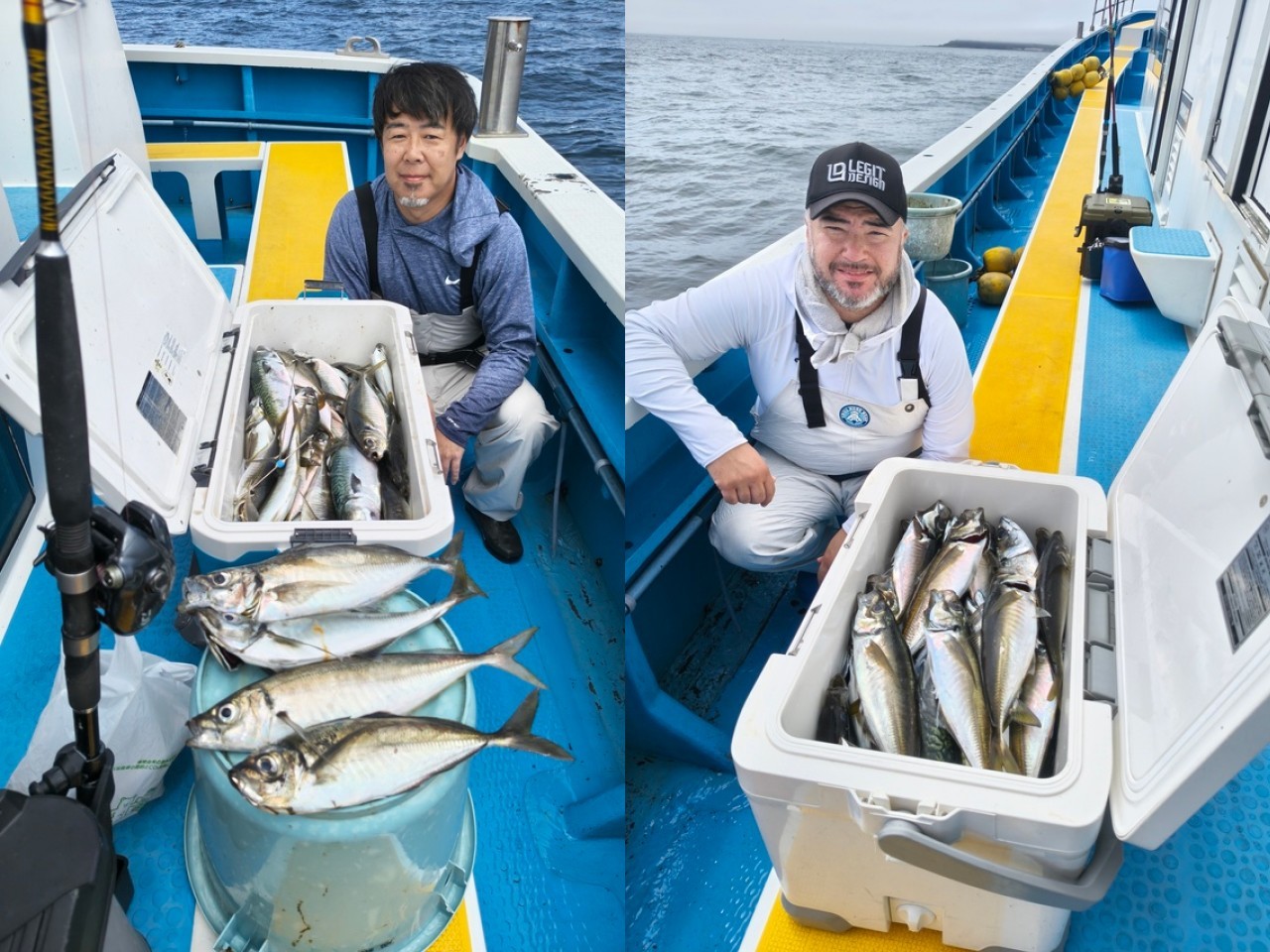 【釣果速報】神奈川県成銀丸でマアジが入れ食い！現在のマアジは大型サイズのベストコンディション。今釣らなくていつ釣るの！