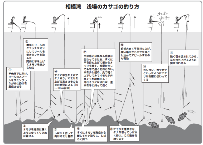 相模湾 浅場のカサゴの釣り方