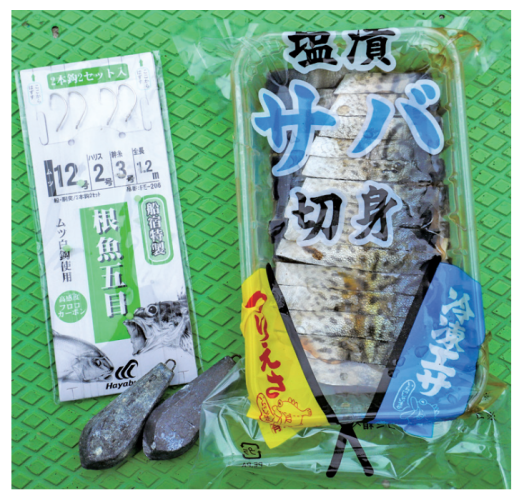 釣行の写真